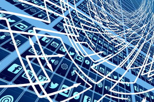 AYX GAMING-中国篮球职业联赛市场营销创新策略研究,篮球训练营市场营销有关的案例